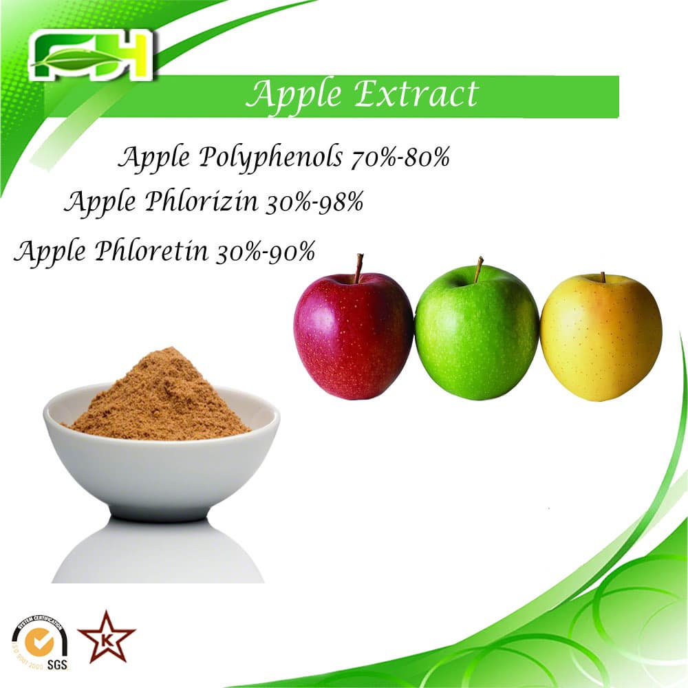 Apple Polyphenols_ Apple Phlorizin_ Phloretin_ Apple Extract